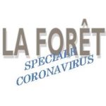 <strong>Récapitulatif des infos Coronavirus à La Forêt-Fouesnant</strong>